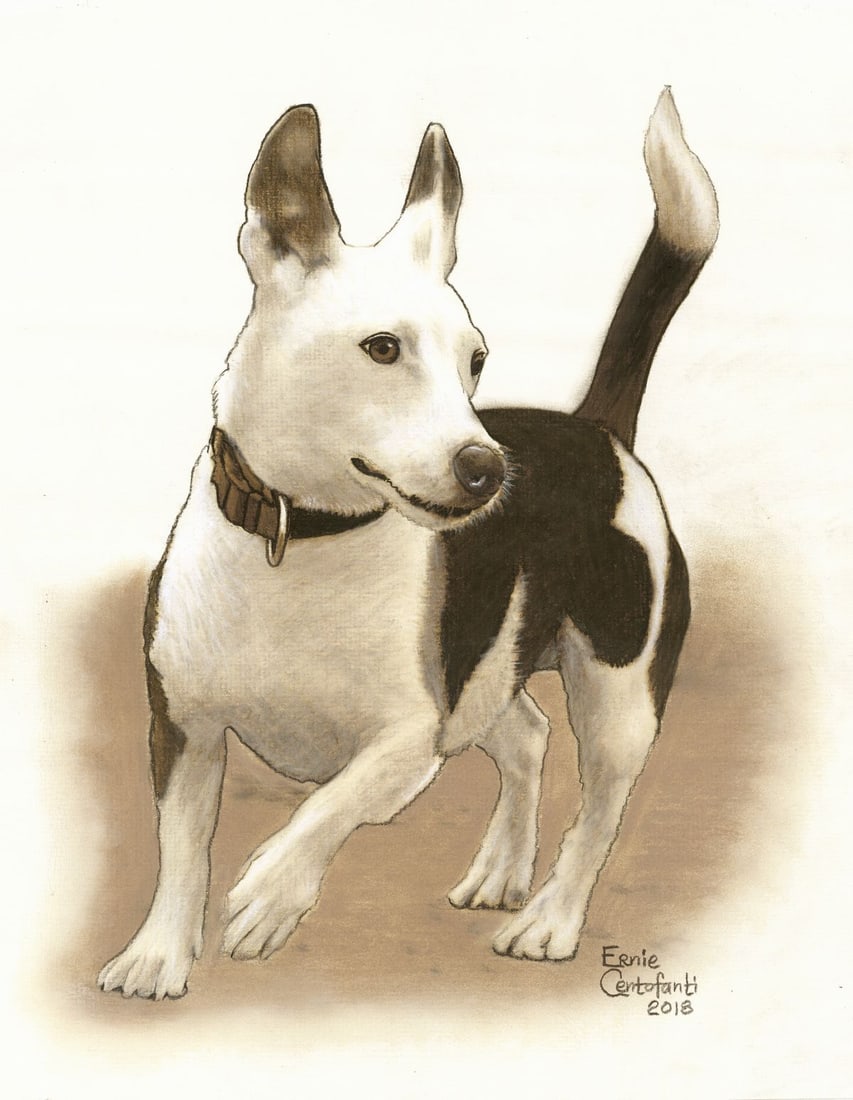 Ernie Centofanti (CA,b 1956) pastel painting: ARTIST: Ernie Centofanti (California, born 1956) TITLE: Dog YEAR: 2018 MEDIUM: pastel on paper CONDITION: Overall good. ART SIZE: 13