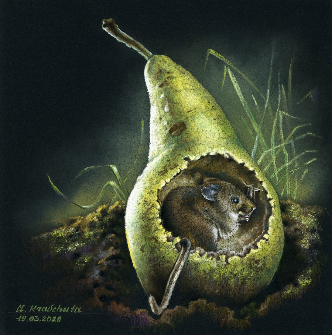 Aleksandra Kravchuta (Ukraine,20/21C) pastel painting: ARTIST: Aleksandra Kravchuta (Ukraine, 20/21 centuries) TITLE: Mouse in Pear MEDIUM: pastel on heavy paper CONDITION: Very good. ART SIZE: 8 x 8 inches /