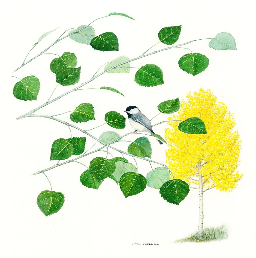 Webb Garrison (SC,GA,NC,1944-2011) gouache painting (1 of 13)