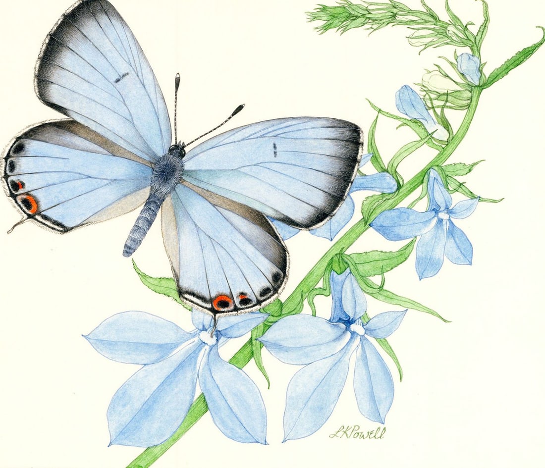 Linda Kay Powell (CO,1943-2004) watercolor painting (1 of 13)