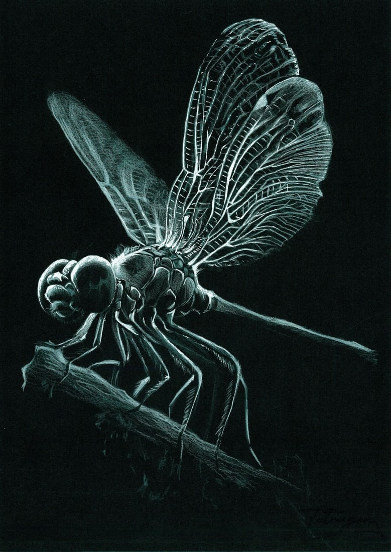 Anna Tetragon (Ukraine,20/21C) pastel painting: ARTIST: Anna Tetragon (Ukraine, 20/21 centuries) TITLE: Dragonfly MEDIUM: pastel on heavy paper CONDITION: Very good. ART SIZE: 12 x 8 inches / 30 x 20 c