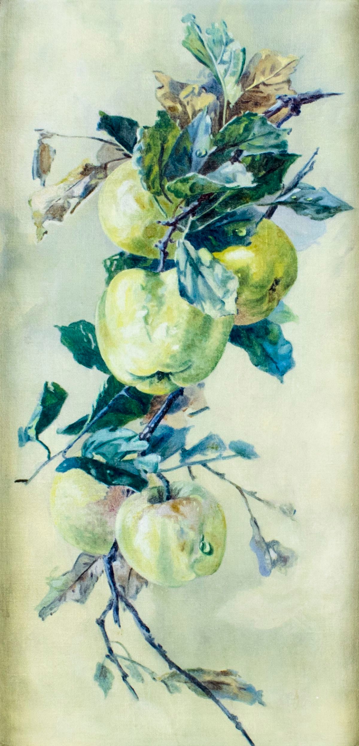 Antique early 20C American oil painting: ARTIST: - (American, early 20 century) TITLE: Still Life with Apples MEDIUM: oil on canvas. Canvas applied to board. CONDITION: Very good. No visible inpaint under UV light