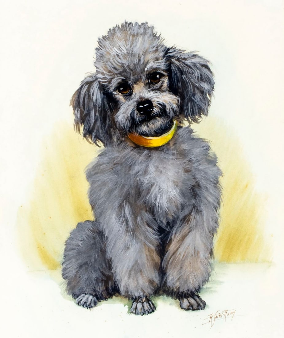 R Saint Remy (US,20C) gouache painting: ARTIST: R Saint Remy (American, 20 century) TITLE: Black Poodle Dog MEDIUM: watercolor and gouache on paper CONDITION: Minor foxing (just few spots). Framed under glass.