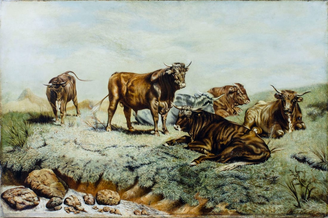 Antique 19C European oil painting: ARTIST: - (Europe, 19 century) TITLE: Longhorn Cattle MEDIUM: oil on canvas CONDITION: Relined. Few minor paint losses. Minor craquelure. Some scattered inpaintings. Normal
