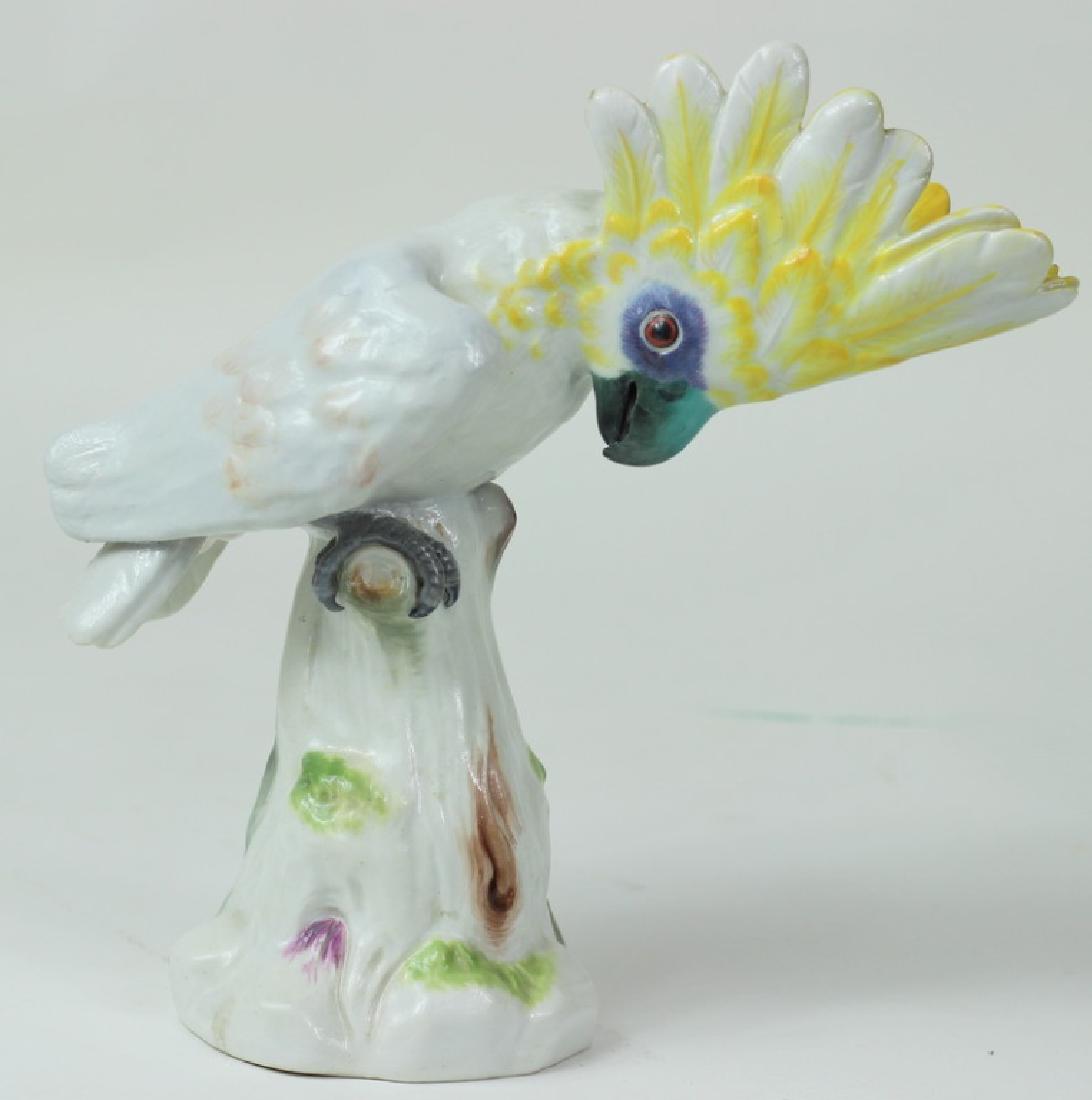 Antique Meissen German Porcelain Cockatoo (1 of 6)