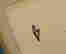 item-83947150=4