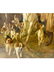 John Charlton (BRITISH, 1849–1917) - 5