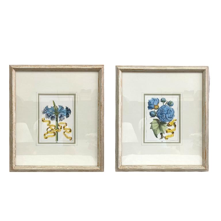 Pair of Decorative Floral Prints (1 of 9)