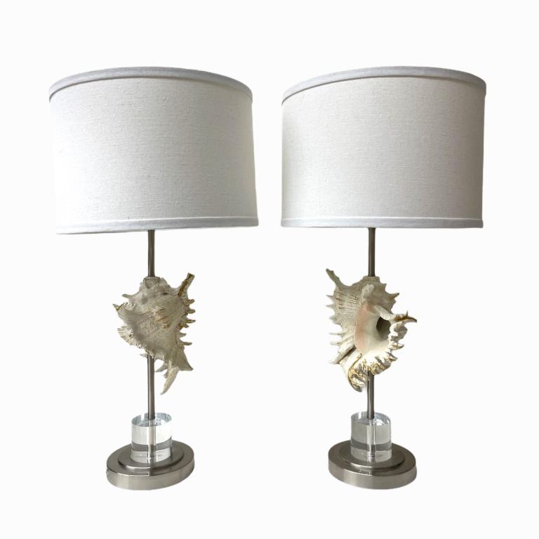 Pair of Coastal Contemporary Seashell Lamps. Measures (1 of 5)