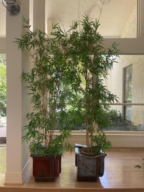 Pair of Ceramic Planters (1 of 4)