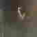 item-117756728=3