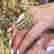 item-120477004=3