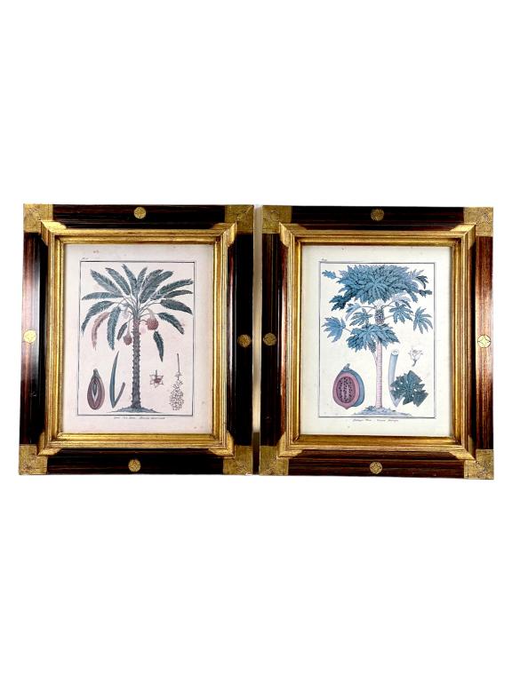 PAIR OF PRINTS, PAYAYA TREE & DATE NUT PALM (1 of 4)
