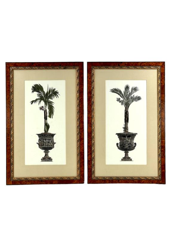 PAIR OF FRAMED PRINTS: POTTED PALMS (1 of 9)