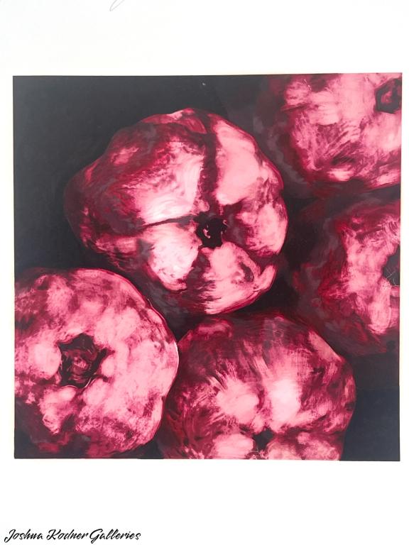 DONALD SULTAN 1994 LIMITED ED PRINT "Pomegranates" (1 of 5)