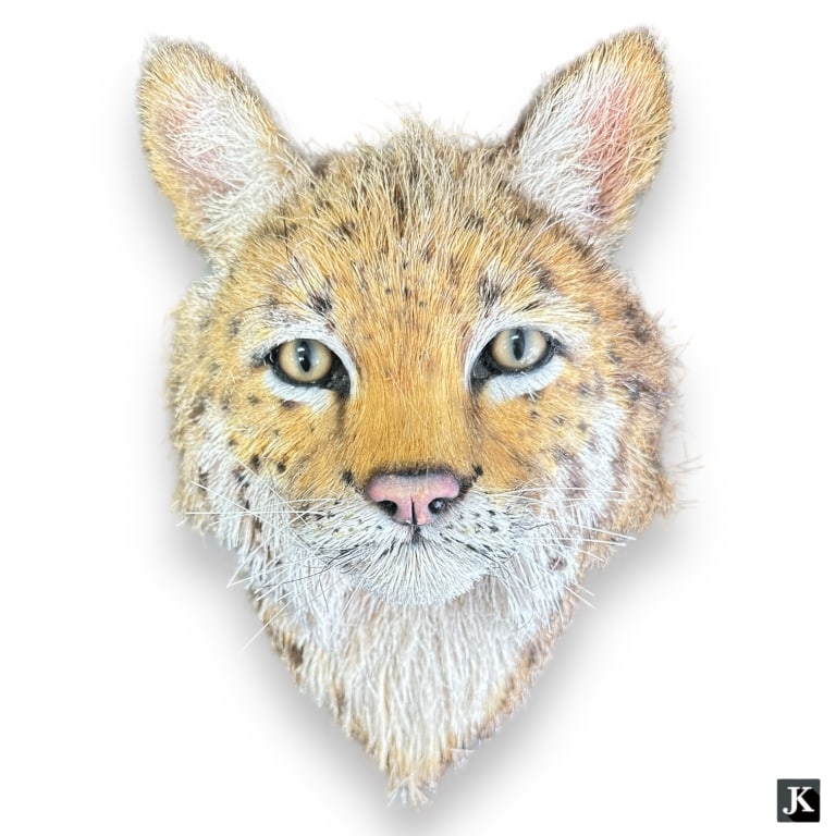 Anne Anderson sisal fiber wall sculpture depicting a red lynx's head. Signed to verso and dated: Anne Anderson sisal fiber wall sculpture depicting a red lynx's head. Signed to verso and dated 2008. Measures approx. 15" height x 10 3/4" width x 8 3/4" depth. Appears in overall good condition. EF/