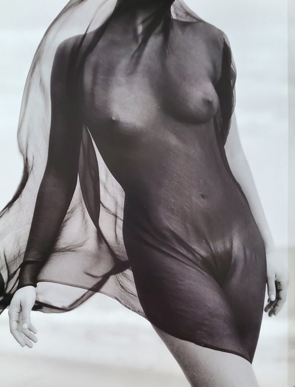 Herb Ritts, Female Torso With Veil, 1984 (1 of 1)