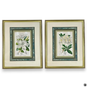 Pair Of Vintage Color Botanical Prints In Frames