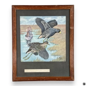 Wallace Hughes (USA B1918) "Sora Rail" Illustratio