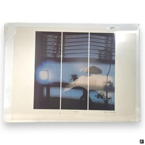 Jack Radetsky (USA B1948) Evening Reflections Lith