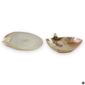 Vintage Mother of Pearl Cup and Saucer Set