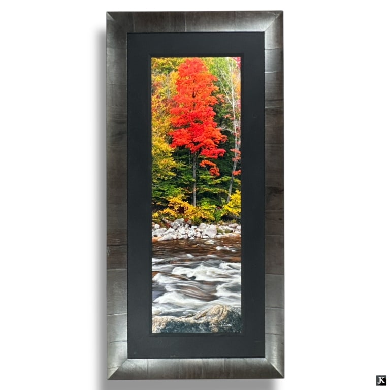 Peter Lik (AUSTRALIA B1959) "Monarch" Photograph: Peter Lik (AUSTRAILIAN / UNITED STATES / NEVADA, Born 1959) limited edition photograph titled "Monarch" depicting a tree and river. Hand signed and numbered to lower right. Limited edition number 67/9