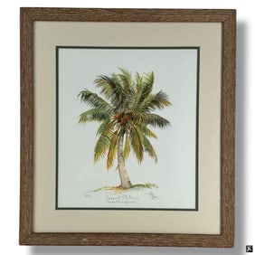 Decorative Color Lithograph "Coconut Palm"