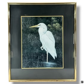 Large Framed Color Print "Great White Heron"