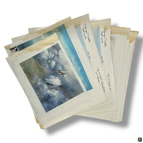 13 Vintage Air Force Color Prints