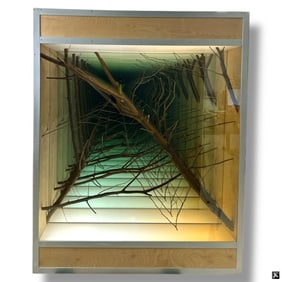 Chul Hyun Ahn Light Box "Branches"