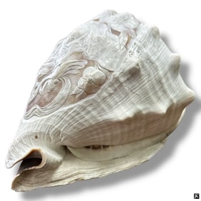 Antique Cameo Carved Conch Shell Lamp Shade