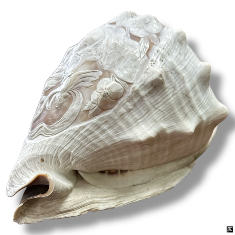 Antique Cameo Carved Conch Shell Lamp Shade (1 of 3)