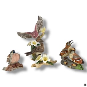 3 Boehm Birds: Purple Finch, Thrashers, Red Poll