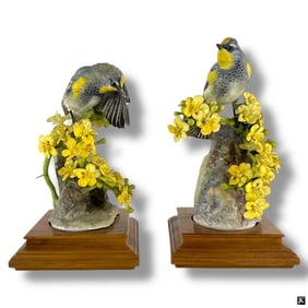 Pair Royal Worcester Porcelain Bird Figurines