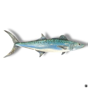 FishTales Wooden Wall Mount "King Mackerel"