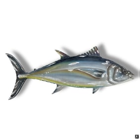 Large Decorative "FishTales" Wooden Wall Mount