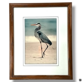 Hayes Norris Photgraph - Blue Heron