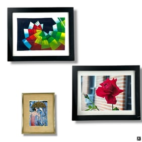 3 Decorative Framed Color Prints