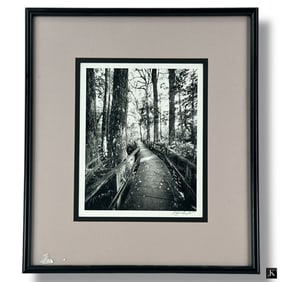 Clyde Butcher Signed Photograph "Corkscrew Swamp"