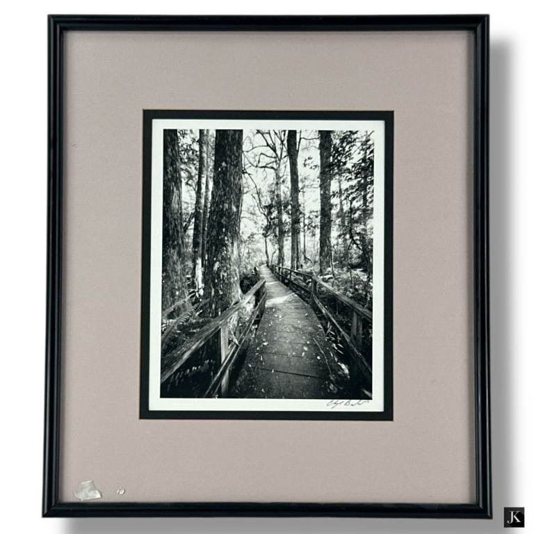 Clyde Butcher Signed Photograph "Corkscrew Swamp" (1 of 5)