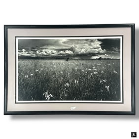 Clyde Butcher Black & White Photograph "Tamiami"