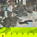 item-208340091=2