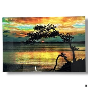 Alan S. Maltz Aluminum Print, Arc of Light
