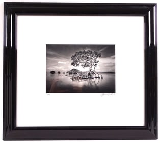 Clyde Butcher Black & White Photograph Gaskin Bay