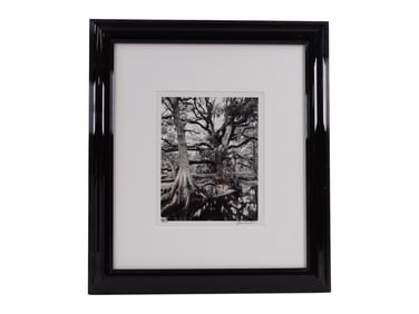 Clyde Butcher B&W Photograph Fisheating Creek