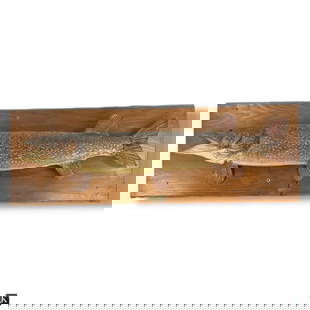 Vintage 1961 Northern Pike Taxidermy Fish Mount: Vintage 1961 Northern Pike Taxidermy Fish Mount. Condition consistent with age and storage. Fish measures 45" long. Wood mount measures 16" x 48".
