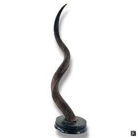 Large Vintage Kudu Horn Mount