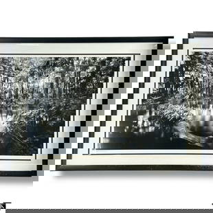 Clyde Butcher Black & White Photograph Loxahatchee: Clyde Butcher (American, b.1942) Gelatin & Silver Photograph "Loxahatchee River" circa 1991. Signed. Well framed and presented under non-glare glass screen. Good condition. Measures 21" x 24" (sight),
