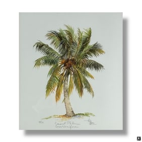 Decorative Color Lithograph "Coconut Palm"