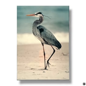 Hayes Norris Photgraph - Blue Heron